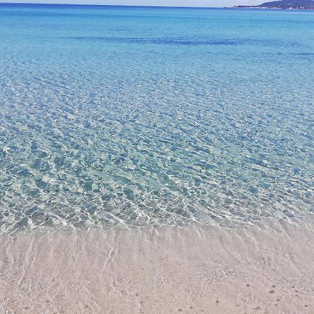 L'Anfora Bed and Breakfast Alghero Rum bild