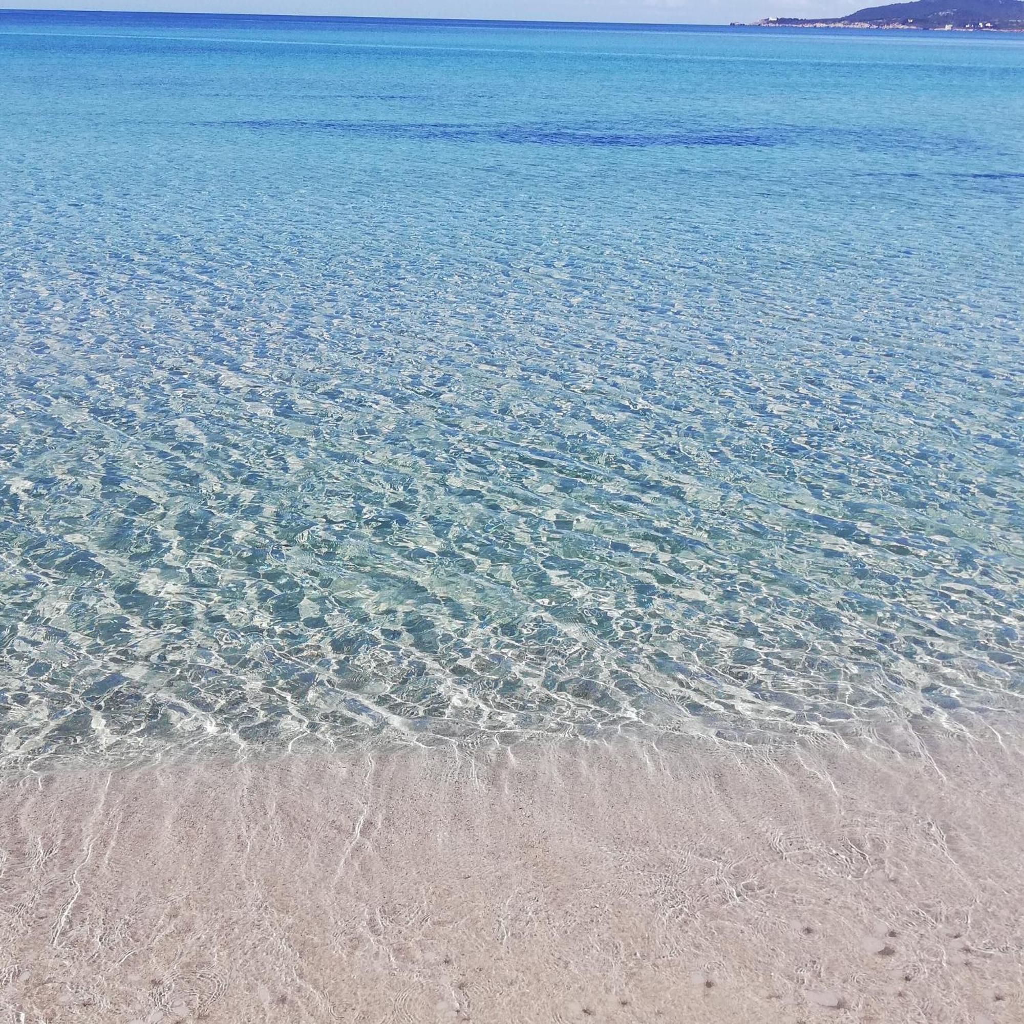 L'Anfora Bed and Breakfast Alghero Rum bild